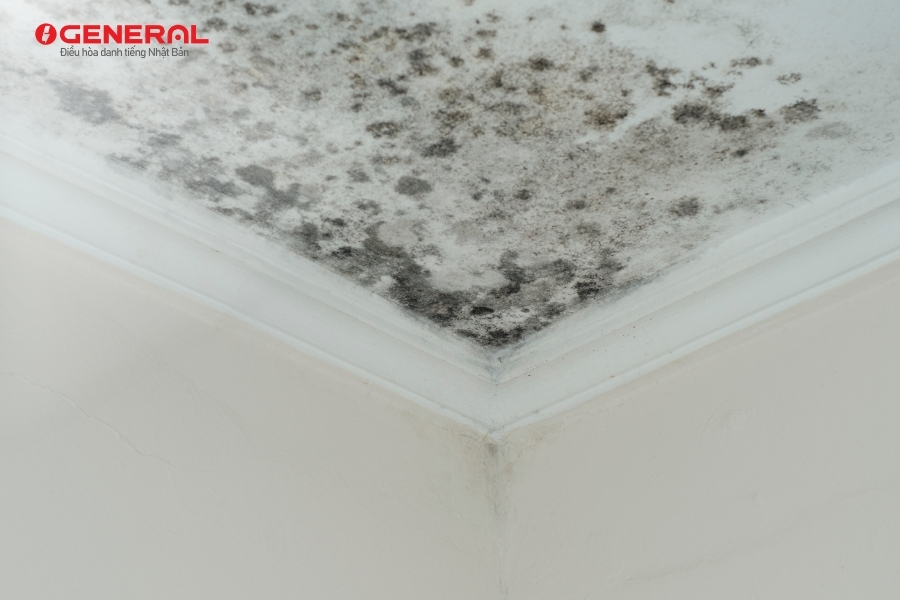 Bật Điều Hòa Mùa Nồm: Bí Quyết Đánh Bại Ẩm Mốc Hiệu Quả