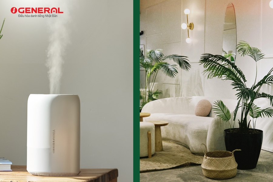 Cách Điều Chỉnh Độ Ẩm Phòng Khi Dùng Điều Hòa Mùa Đông