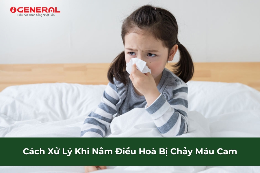 Cách Xử Lý Khi Nằm Điều Hoà Bị Chảy Máu Cam