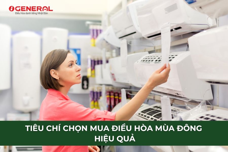 Tiêu Chí Chọn Mua Điều Hòa Mùa Đông Hiệu Quả